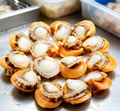 Half-Shell Scallops